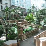 Walkways through the Orlando Gaylord Palms resort and spa
