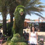 Busch Gardens Tampa busch gardens tampa