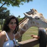 busch gardens tampa bay busch gardens tampa bay