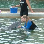 Dolhin Encounter girl kissing a dolphin