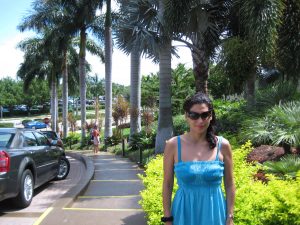 Lovely Palm Tree at Marco Island Marriott Beach Resort Golf Club & Spa