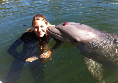 Swim With Dolphins Florida Keys