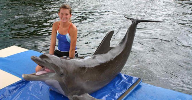 Meet Nicki LaPierre Marine Mammal Training – Florida Keys