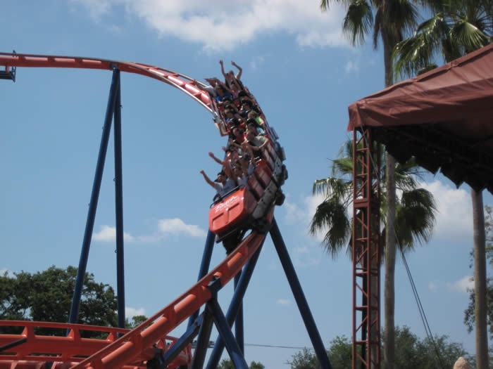 Tampa Bay Busch Gardens Roller Coaster
