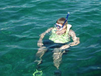 Snorkeling Vacation In Key Largo
