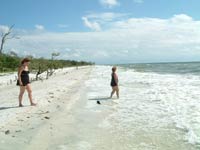 Things To Do In Naples Fl
