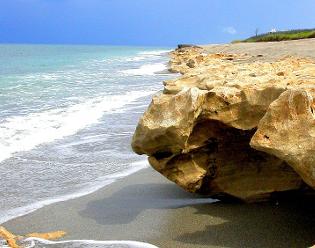 Blowing Rocks Preserve Jupiter Island