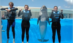 Dolphin Swim Daytona Beach