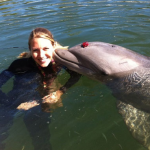 Swim with Dolphins Florida Keys