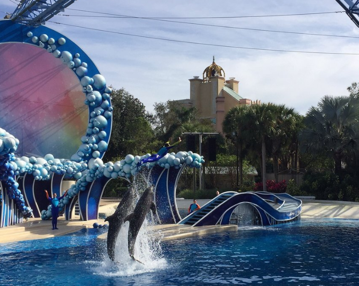 Thrill-Seeker's Guide to Florida SeaWorld Parks