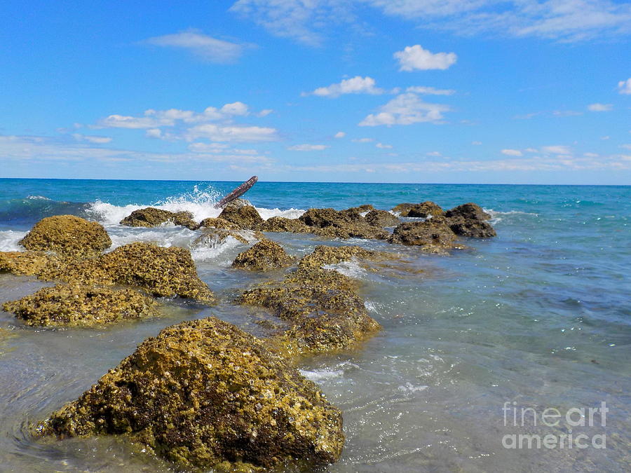 A Day At Red Reef Park