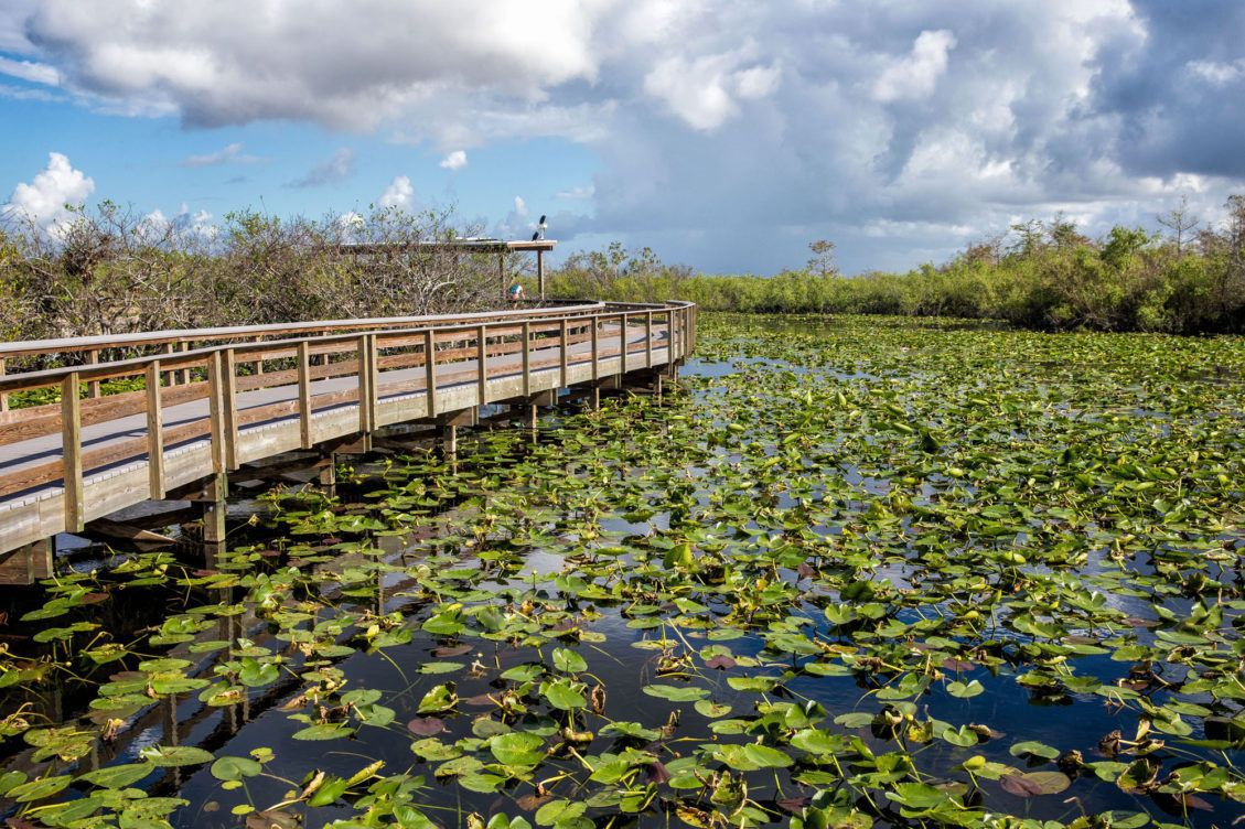 A Day In Florida City, Near Everglades And Biscayne National Parks