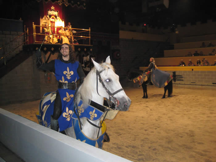 Blue-haired Knight in Medieval Times - wide 2