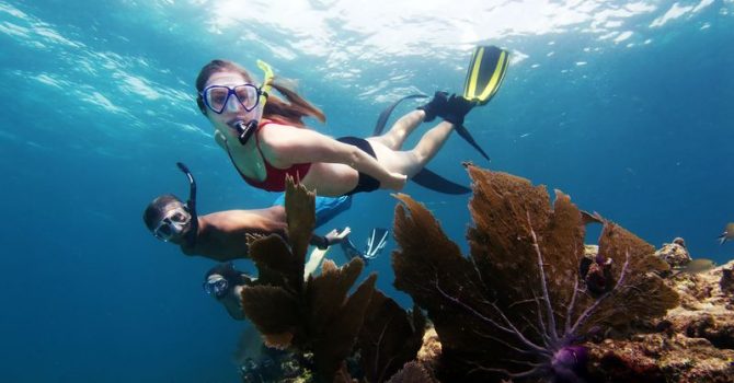 Florida’s Upper Keys – Great Scuba Diving And Eco Friendly Tours