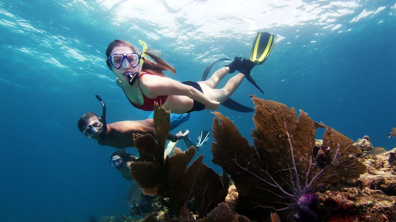 Florida s Upper Keys Great Scuba Diving and Eco Friendly Tours