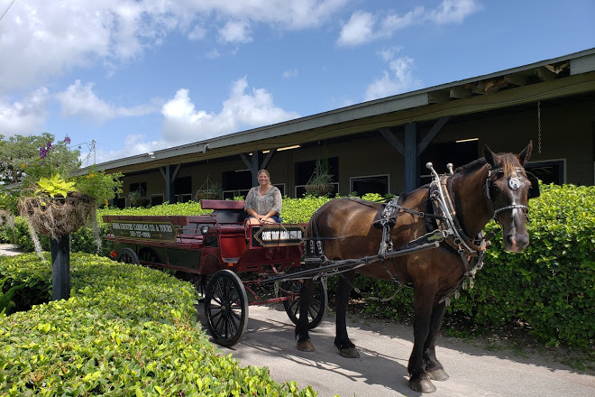 Ocala Carriage & Tours