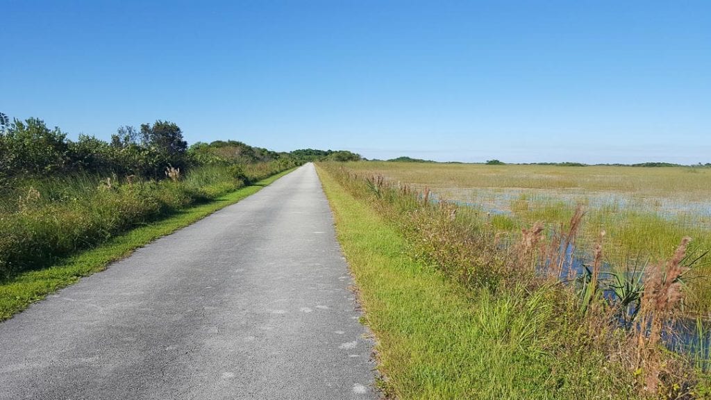 Shark Valley Entrance In Everglades National Park