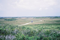 Shark-Valley-everglades-1