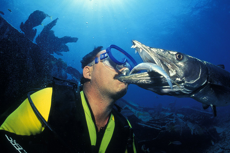 Meet Captain Spencer Slate   Dive Operator – Key Largo, FL