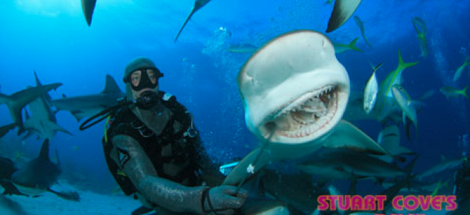 Stuart Cove’s Aqua Adventures Nassau Bahamas