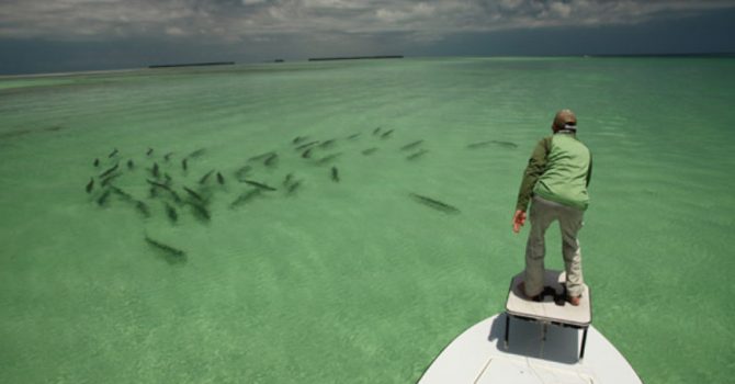 Tarpon Fishing In The Florida Keys