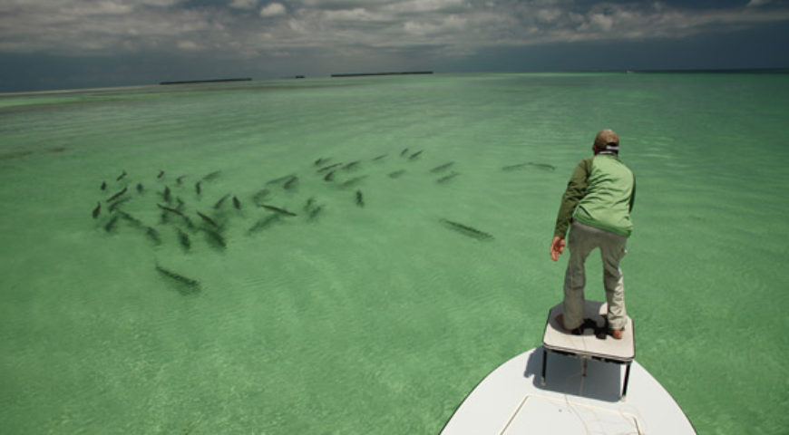 Tarpon Fishing In The Florida Keys