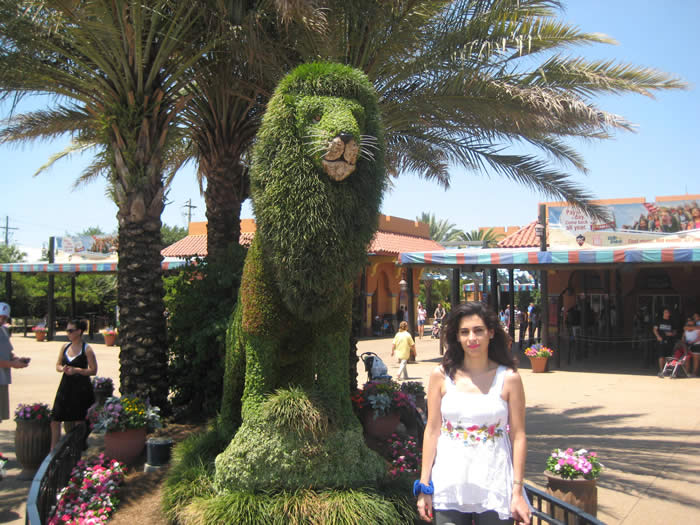 busch-gardens-outside