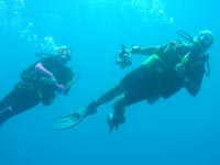 costa-rica-diving-2