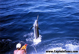 costa-rica-fishing1