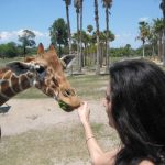 Tampa Bay Busch Gardens