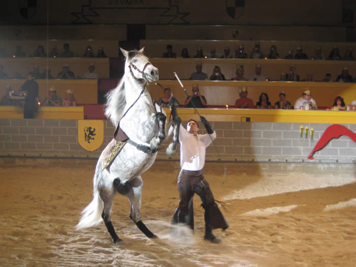 horse-show-medieval-times