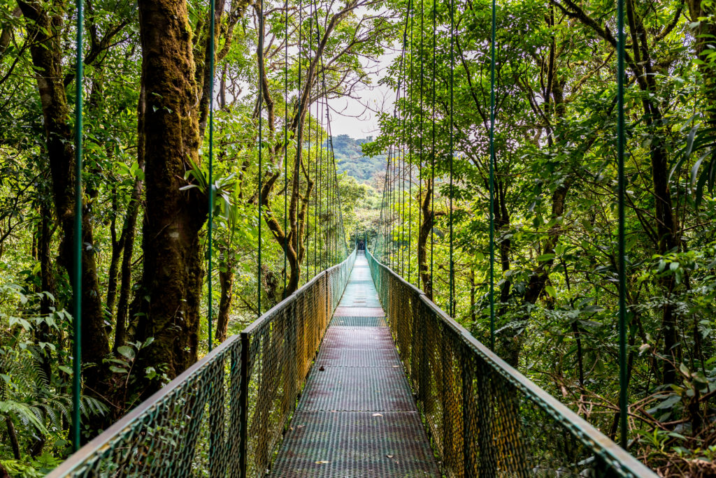 Walking On Hanging Bridges In Cloudforest - Travel Destination Costa Rica