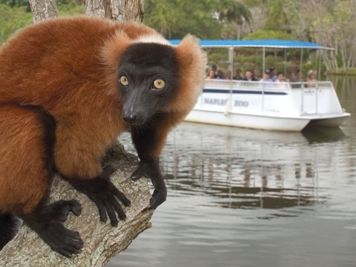 naples-zoo