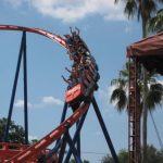 Roller Coaster Busch Gardens Tampa Bay Florida