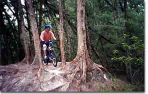 Mountain Biking in Quiet Waters Park Florida Florida Vacation