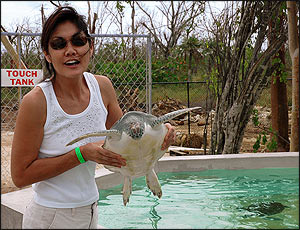 turtle-farm