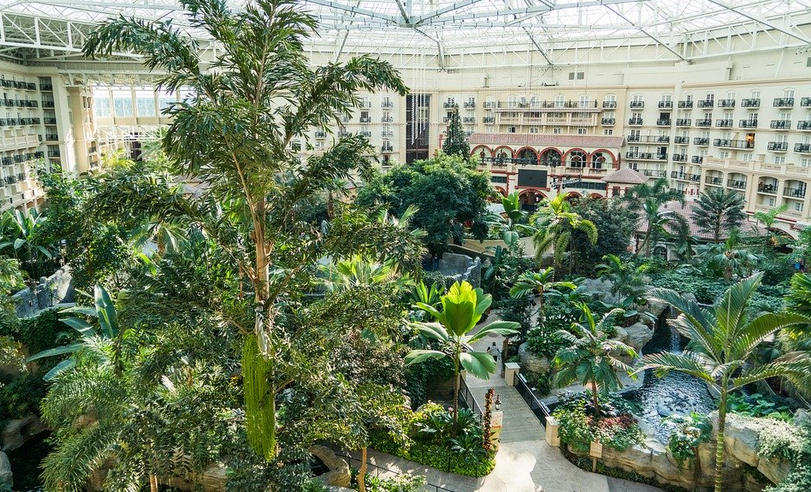 Gaylord Palms Resort Orlando Review