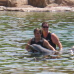 Dolphin Program Orlando