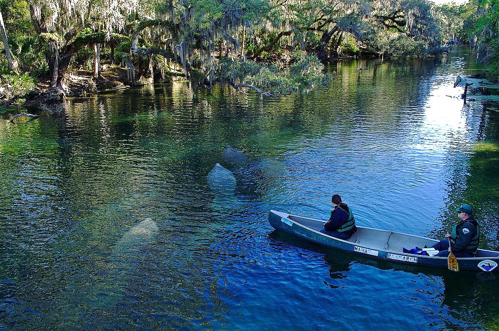 Blue Springs State Park