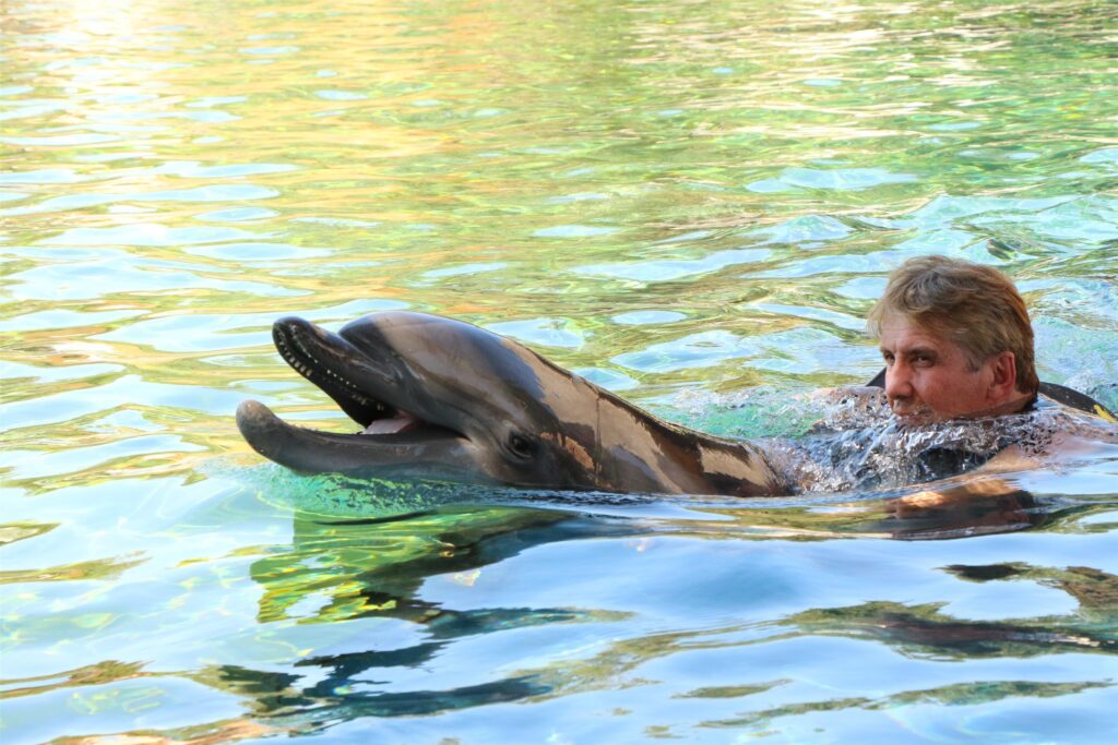 Dolphin Friends in Texas