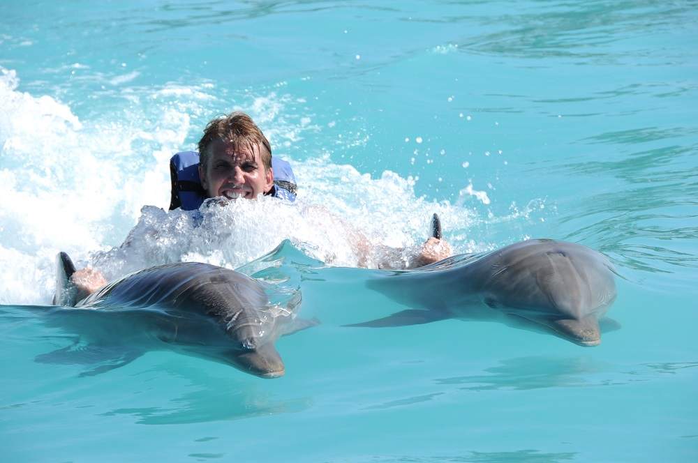 Swim with dolphins Grand Cayman