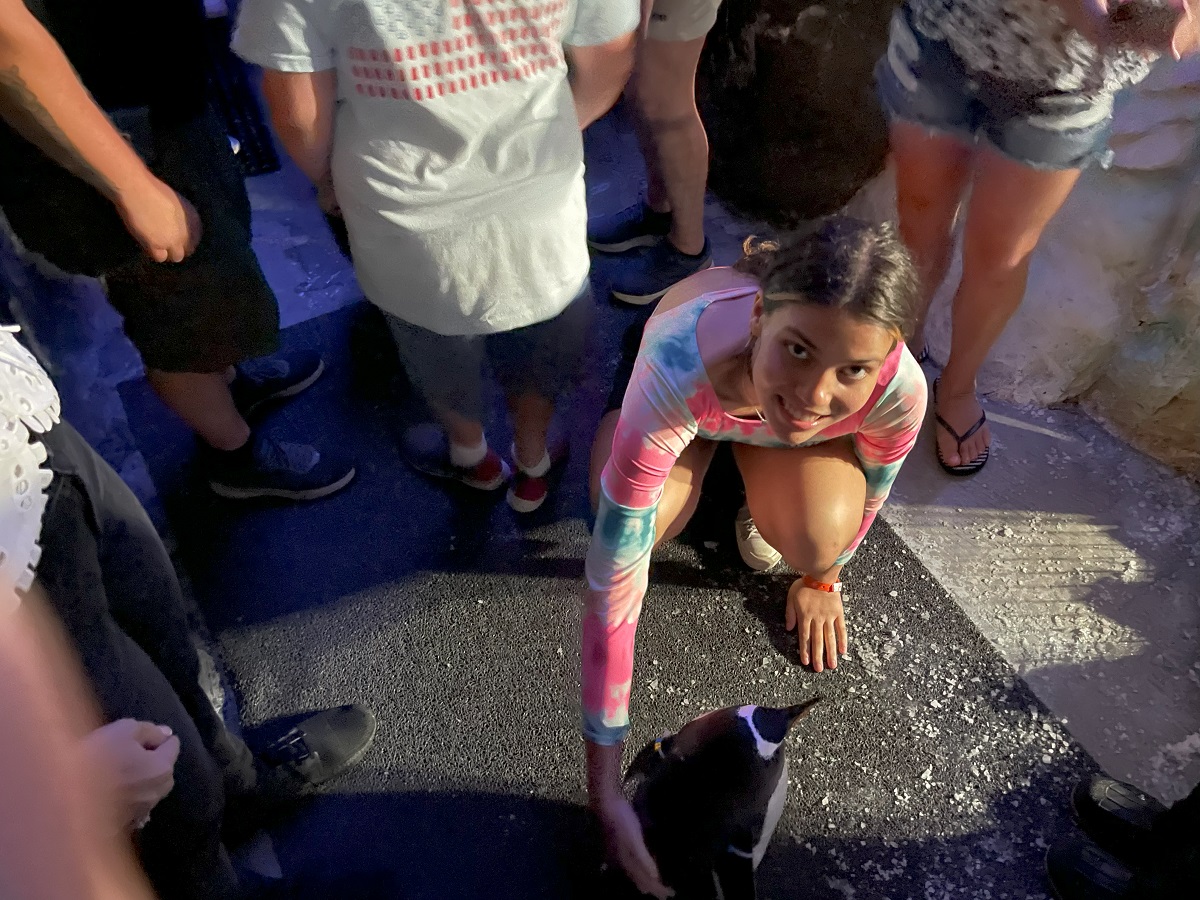 Seaworld Penguin Encounter