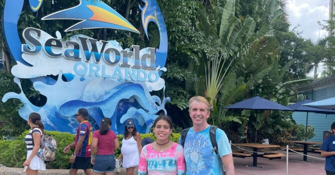 SeaWorld Orlando Animal Encounters: Penguins, Orcas & Dolphins Up Close