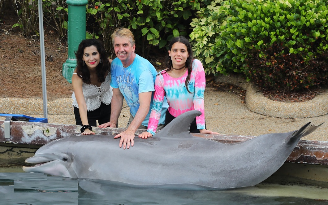 SeaWorld Dolphin Encounter