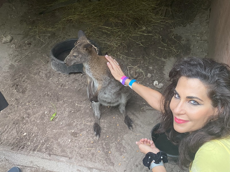 Petting the Wallaby at Jungle Island Miami
