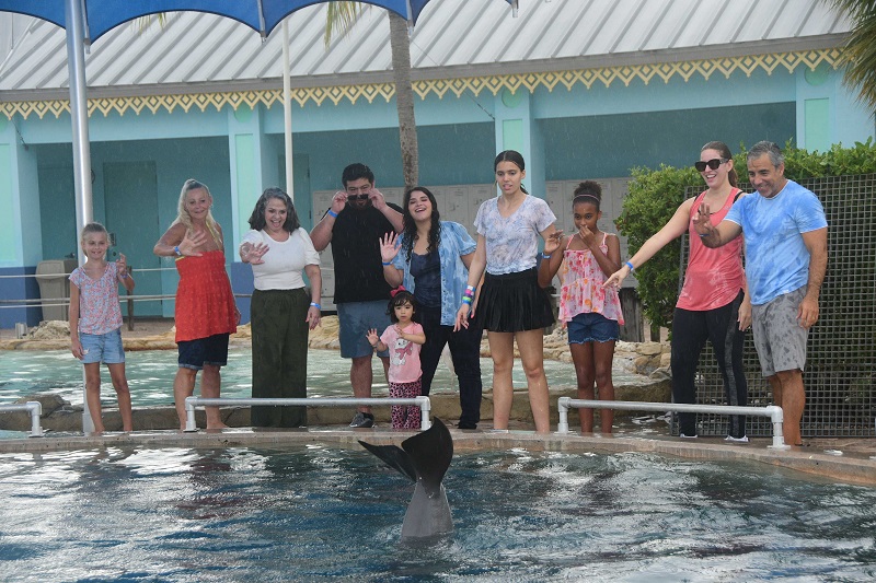 Miami Dolphin Meet and Greet - Miami Seaquarium