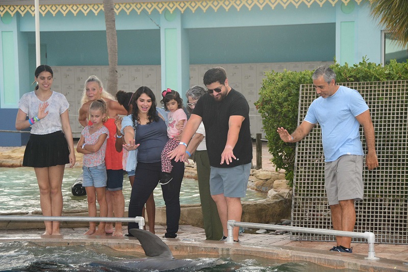 Dolphin Meet and Greet in Miami
